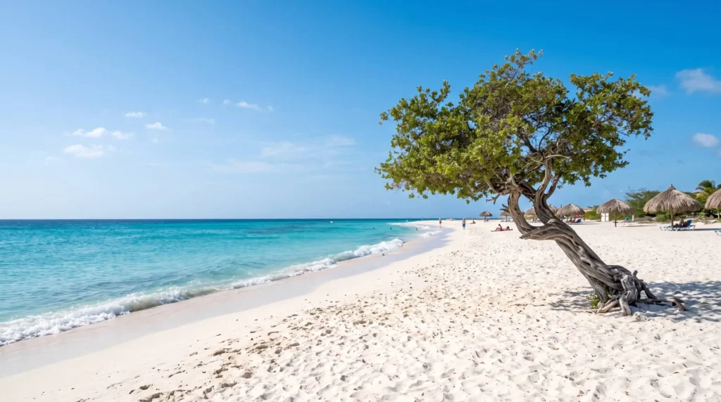 Best Time to Travel to Aruba Month by Month for Weather, Crowds and Prices 3 Best time to travel to Aruba with Eagle Beach and a fofoti tree